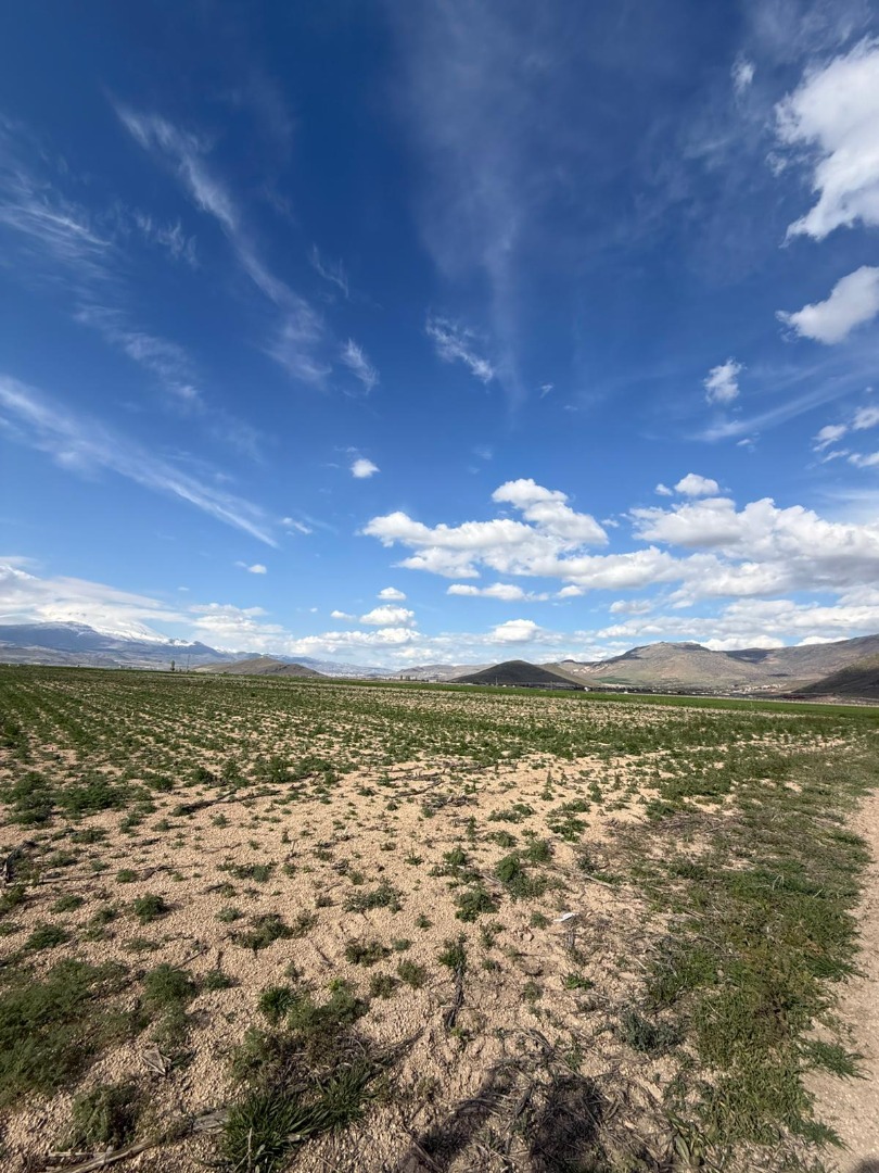 KAYSERİ DEVELİ ZİLE MAHALLESİ ÖRENTEPE MEVKİİNDE SATILIK TARLA